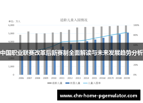 中国职业联赛改革后新赛制全面解读与未来发展趋势分析