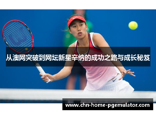 从澳网突破到网坛新星辛纳的成功之路与成长秘笈 从澳网突破到网坛新星辛纳的成功之路与成长秘笈