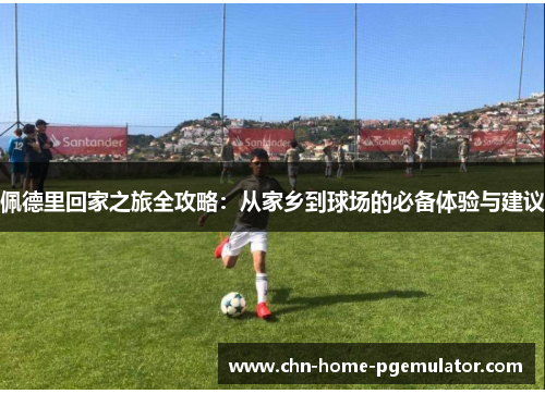 佩德里回家之旅全攻略:从家乡到球场的必备体验与建议 佩德里回家之旅全攻略:从家乡到球场的必备体验与建议