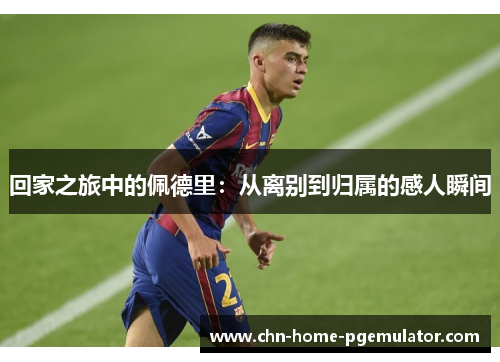 回家之旅中的佩德里:从离别到归属的感人瞬间 回家之旅中的佩德里:从离别到归属的感人瞬间