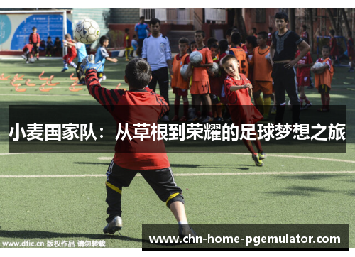 小麦国家队:从草根到荣耀的足球梦想之旅 小麦国家队:从草根到荣耀的足球梦想之旅