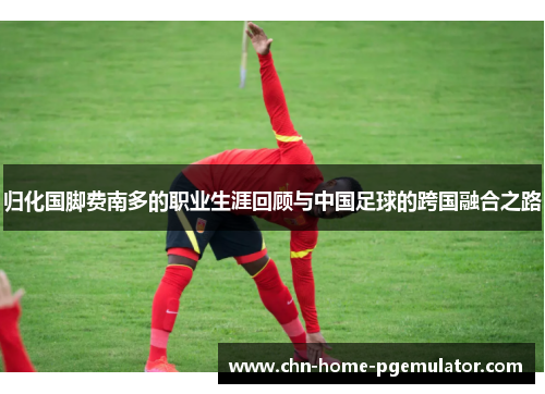 归化国脚费南多的职业生涯回顾与中国足球的跨国融合之路 归化国脚费南多的职业生涯回顾与中国足球的跨国融合之路