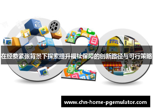 在经费紧张背景下探索提升福祉保障的创新路径与可行策略 在经费紧张背景下探索提升福祉保障的创新路径与可行策略