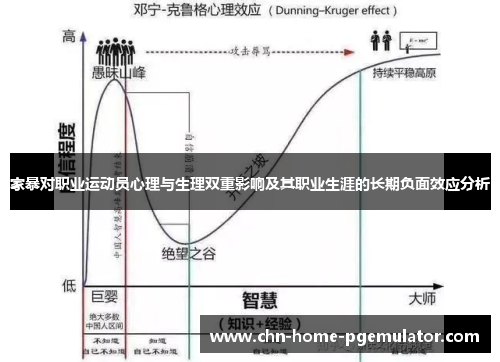 家暴对职业运动员心理与生理双重影响及其职业生涯的长期负面效应分析