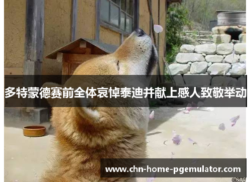 多特蒙德赛前全体哀悼泰迪并献上感人致敬举动