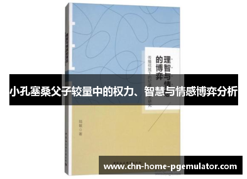小孔塞桑父子较量中的权力、智慧与情感博弈分析 小孔塞桑父子较量中的权力、智慧与情感博弈分析