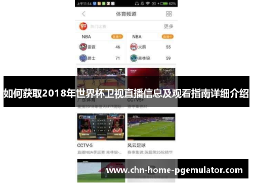 如何获取2018年世界杯卫视直播信息及观看指南详细介绍 如何获取2018年世界杯卫视直播信息及观看指南详细介绍
