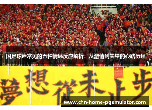 国足球迷常见的五种情感反应解析:从激情到失望的心路历程 国足球迷常见的五种情感反应解析:从激情到失望的心路历程