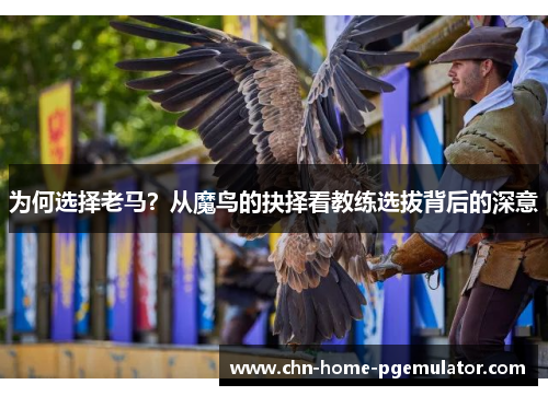 为何选择老马?从魔鸟的抉择看教练选拔背后的深意 为何选择老马?从魔鸟的抉择看教练选拔背后的深意