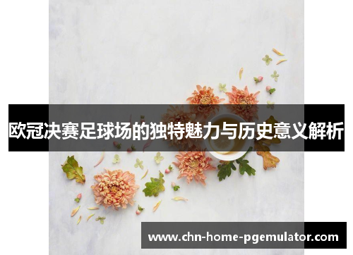 欧冠决赛足球场的独特魅力与历史意义解析 欧冠决赛足球场的独特魅力与历史意义解析