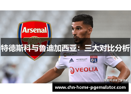 特德斯科与鲁迪加西亚：三大对比分析