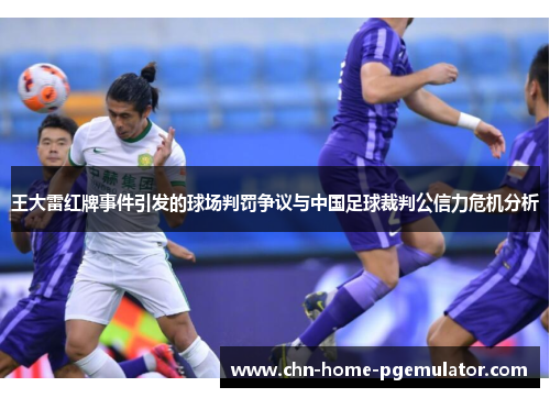 王大雷红牌事件引发的球场判罚争议与中国足球裁判公信力危机分析 王大雷红牌事件引发的球场判罚争议与中国足球裁判公信力危机分析
