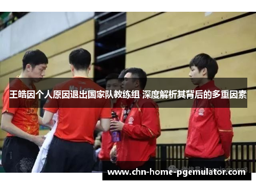 王皓因个人原因退出国家队教练组 深度解析其背后的多重因素 王皓因个人原因退出国家队教练组 深度解析其背后的多重因素