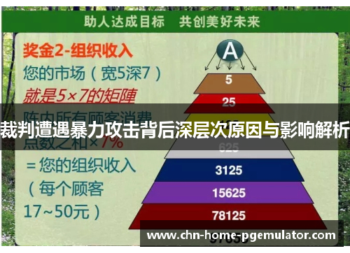 裁判遭遇暴力攻击背后深层次原因与影响解析