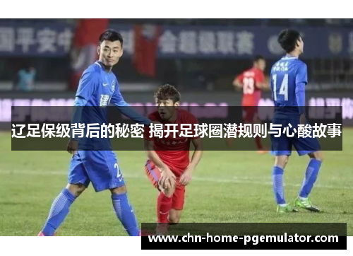 辽足保级背后的秘密 揭开足球圈潜规则与心酸故事 辽足保级背后的秘密 揭开足球圈潜规则与心酸故事