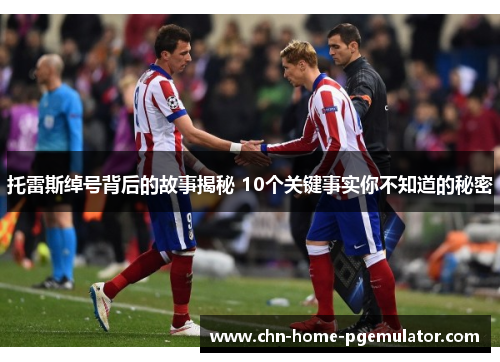 托雷斯绰号背后的故事揭秘 10个关键事实你不知道的秘密 托雷斯绰号背后的故事揭秘 10个关键事实你不知道的秘密