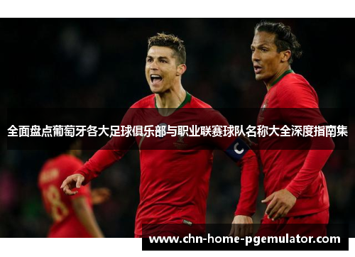 全面盘点葡萄牙各大足球俱乐部与职业联赛球队名称大全深度指南集 全面盘点葡萄牙各大足球俱乐部与职业联赛球队名称大全深度指南集