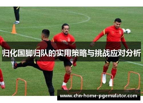 归化国脚归队的实用策略与挑战应对分析