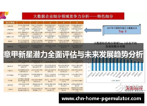 意甲新星潜力全面评估与未来发展趋势分析