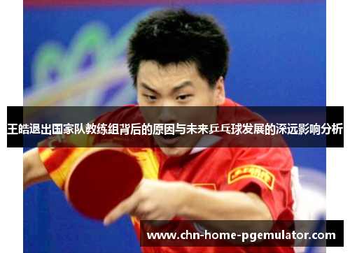 王皓退出国家队教练组背后的原因与未来乒乓球发展的深远影响分析