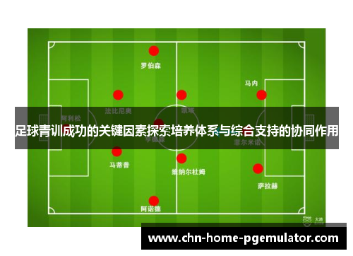 足球青训成功的关键因素探索培养体系与综合支持的协同作用
